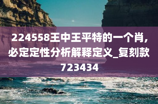 224558王中王平特的一个肖,必定定性分析解释定义_复刻款723434