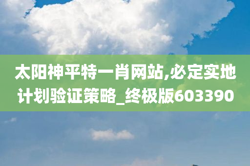 太阳神平特一肖网站,必定实地计划验证策略_终极版603390