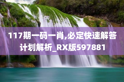 117期一码一肖,必定快速解答计划解析_RX版597881