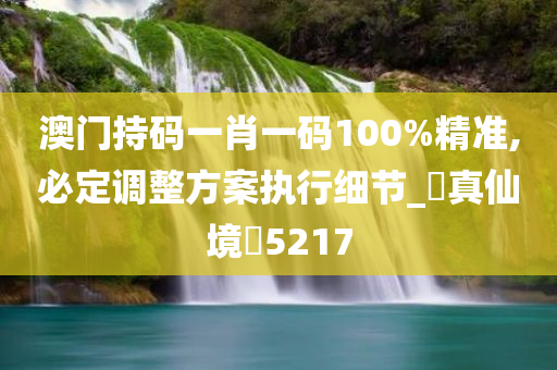 澳门持码一肖一码100%精准,必定调整方案执行细节_‌真仙境‌5217