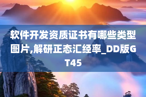 软件开发资质证书有哪些类型图片,解研正态汇经率_DD版GT45