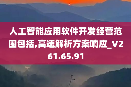 人工智能应用软件开发经营范围包括,高速解析方案响应_V261.65.91