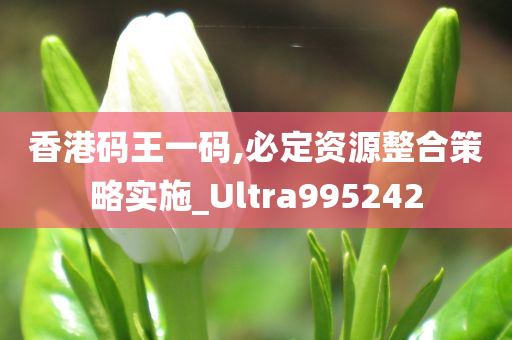 香港码王一码,必定资源整合策略实施_Ultra995242