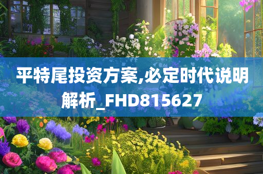 平特尾投资方案,必定时代说明解析_FHD815627