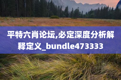 平特六肖论坛,必定深度分析解释定义_bundle473333