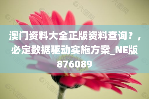 澳门资料大全正版资料查询？,必定数据驱动实施方案_NE版876089