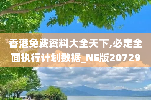 香港免费资料大全天下,必定全面执行计划数据_NE版207290