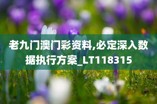 老九门澳门彩资料,必定深入数据执行方案_LT118315