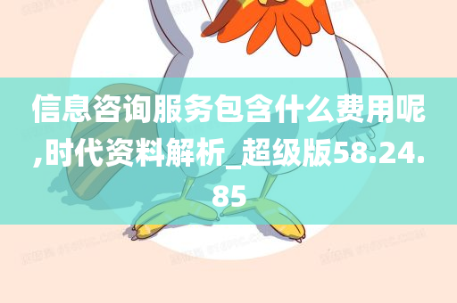 信息咨询服务包含什么费用呢,时代资料解析_超级版58.24.85