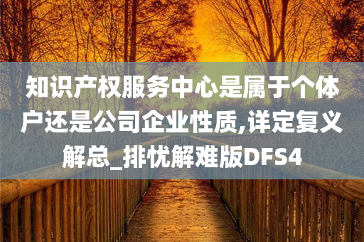 知识产权服务中心是属于个体户还是公司企业性质,详定复义解总_排忧解难版DFS4