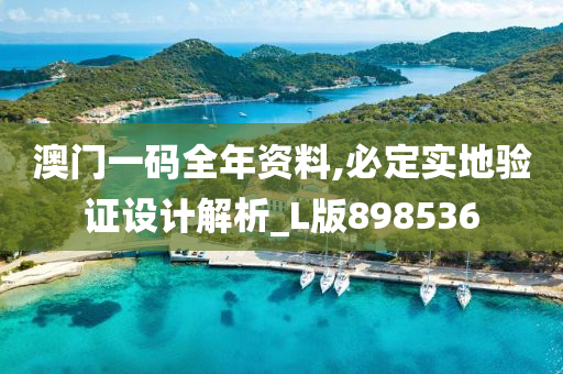 澳门一码全年资料,必定实地验证设计解析_L版898536