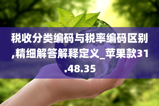 税收分类编码与税率编码区别,精细解答解释定义_苹果款31.48.35