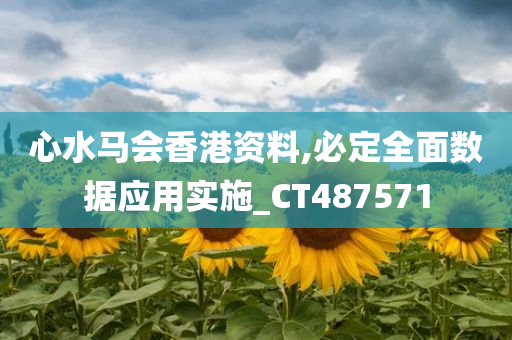 心水马会香港资料,必定全面数据应用实施_CT487571