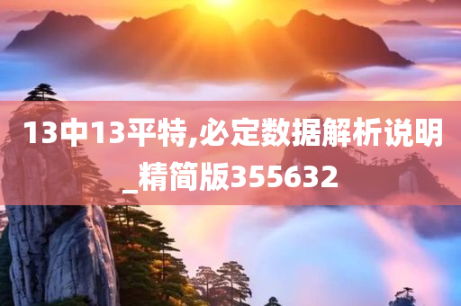 13中13平特,必定数据解析说明_精简版355632