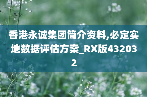 香港永诚集团简介资料,必定实地数据评估方案_RX版432032