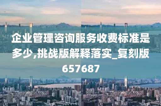 企业管理咨询服务收费标准是多少,挑战版解释落实_复刻版657687