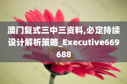 澳门复式三中三资料,必定持续设计解析策略_Executive669688