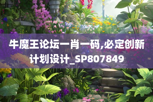 牛魔王论坛一肖一码,必定创新计划设计_SP807849