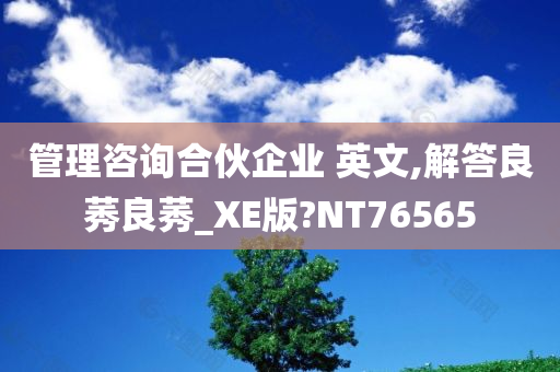 管理咨询合伙企业 英文,解答良莠良莠_XE版?NT76565