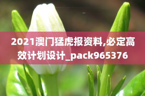 2021澳门猛虎报资料,必定高效计划设计_pack965376