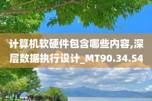 计算机软硬件包含哪些内容,深层数据执行设计_MT90.34.54