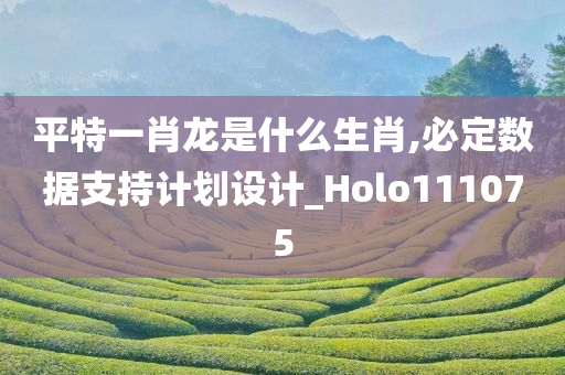 平特一肖龙是什么生肖,必定数据支持计划设计_Holo111075