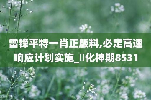 雷锋平特一肖正版料,必定高速响应计划实施_‌化神期8531