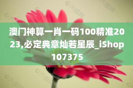 澳门神算一肖一码100精准2023,必定典章灿若星辰_iShop107375