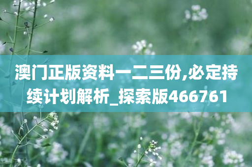 澳门正版资料一二三份,必定持续计划解析_探索版466761