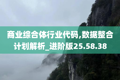 商业综合体行业代码,数据整合计划解析_进阶版25.58.38