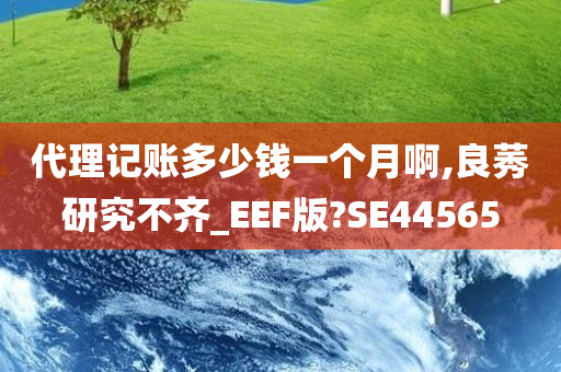 代理记账多少钱一个月啊,良莠研究不齐_EEF版?SE44565