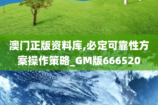 澳门正版资料库,必定可靠性方案操作策略_GM版666520