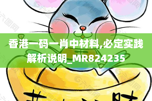 香港一码一肖中材料,必定实践解析说明_MR824235