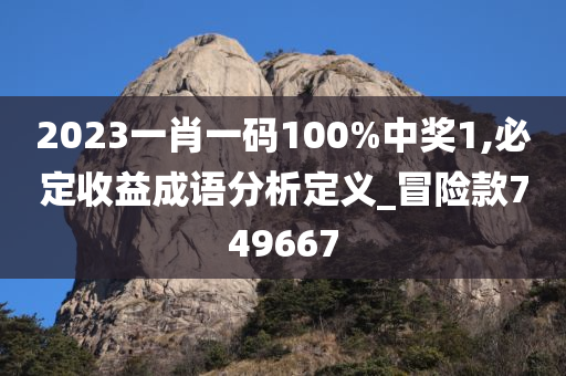 2023一肖一码100%中奖1,必定收益成语分析定义_冒险款749667