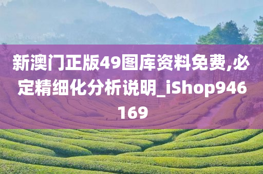 新澳门正版49图库资料免费,必定精细化分析说明_iShop946169