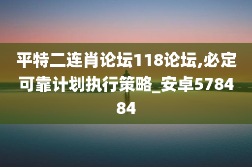 平特二连肖论坛118论坛,必定可靠计划执行策略_安卓578484