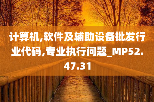 计算机,软件及辅助设备批发行业代码,专业执行问题_MP52.47.31