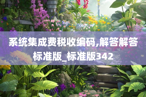 系统集成费税收编码,解答解答标准版_标准版342