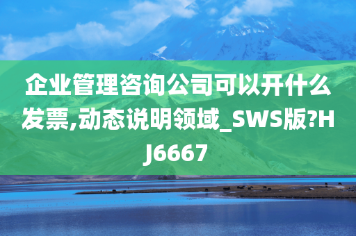 企业管理咨询公司可以开什么发票,动态说明领域_SWS版?HJ6667