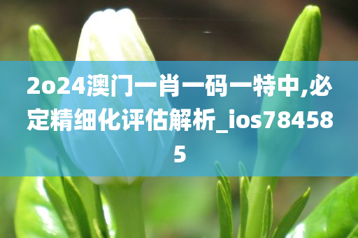 2o24澳门一肖一码一特中,必定精细化评估解析_ios784585