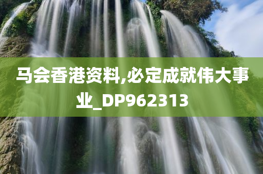 马会香港资料,必定成就伟大事业_DP962313