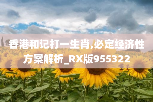 香港和记打一生肖,必定经济性方案解析_RX版955322