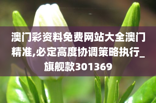 澳门彩资料免费网站大全澳门精准,必定高度协调策略执行_旗舰款301369