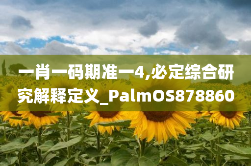 一肖一码期准一4,必定综合研究解释定义_PalmOS878860