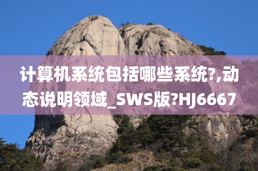 计算机系统包括哪些系统?,动态说明领域_SWS版?HJ6667