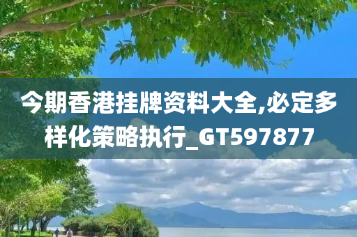 今期香港挂牌资料大全,必定多样化策略执行_GT597877