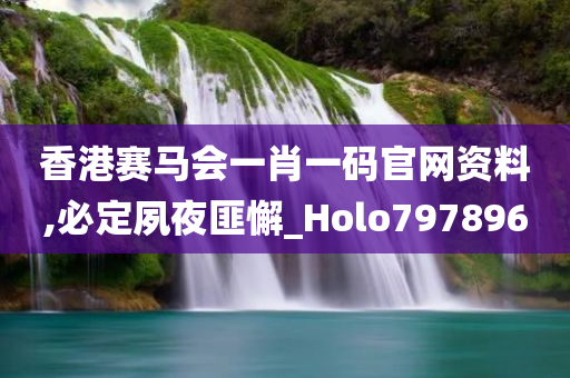 香港赛马会一肖一码官网资料,必定夙夜匪懈_Holo797896