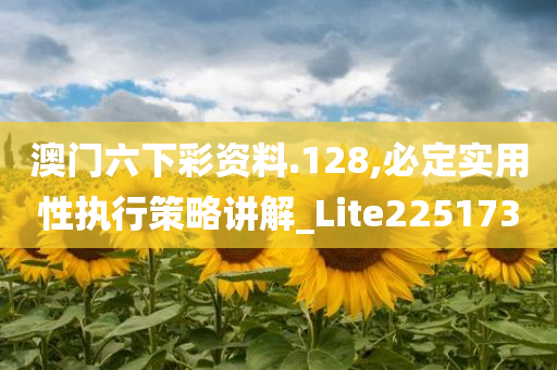 澳门六下彩资料.128,必定实用性执行策略讲解_Lite225173