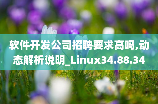 软件开发公司招聘要求高吗,动态解析说明_Linux34.88.34