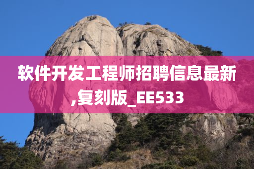 软件开发工程师招聘信息最新,复刻版_EE533